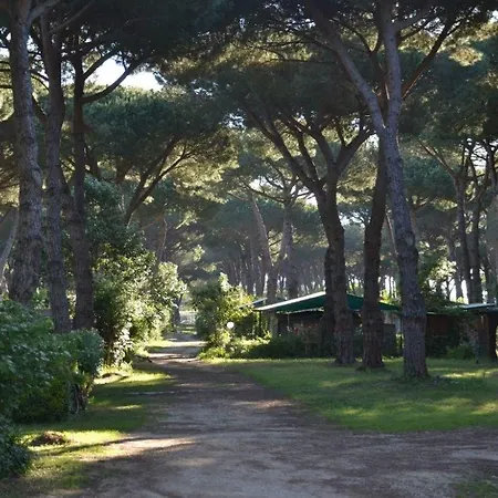 Hotel Camping Village Parco Della Gallinara 4*