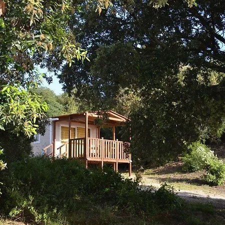 Camping Village Parco Della Gallinara 4*