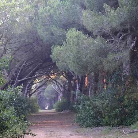 Camping Village Parco Della Gallinara Anzio
