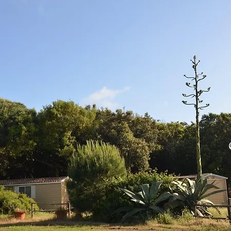 Hotell Parco Della Gallinara Anzio