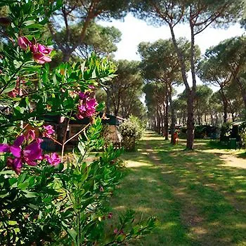 Hotel Camping Village Parco Della Gallinara 4*