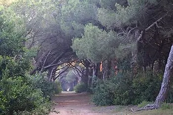 Hotel Camping Village Parco Della Gallinara 4*