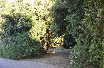 Camping Village Parco Della Gallinara Anzio